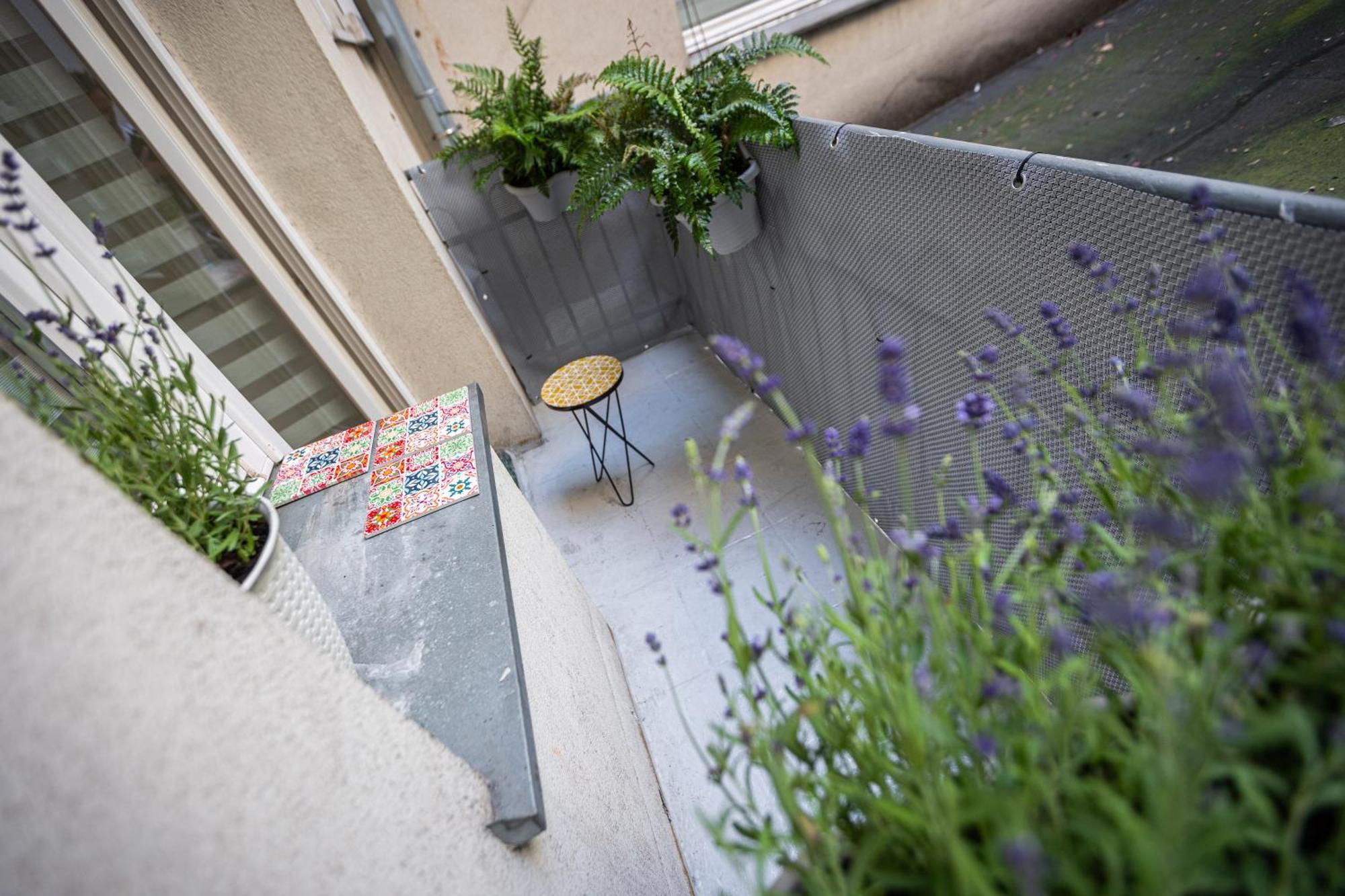Vintage Bracka 6 Apartament